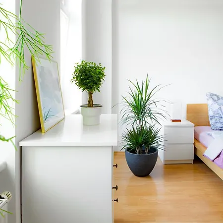 5 Min Zur Elbe, Helle Geraeumige 2-raum-whg, Neustadt, Lage * Dresden