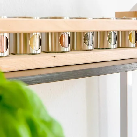 Bis 6 Personen - 5 Min Zur Elbe, Helle Geraeumige 2-raum-whg, Neustadt, Lage * Δρέσδη