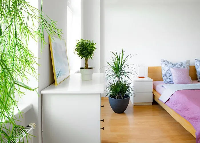 Bis 6 Personen - 5 Min Zur Elbe, Helle Geraeumige 2-raum-whg, Neustadt, Lage * Dresden