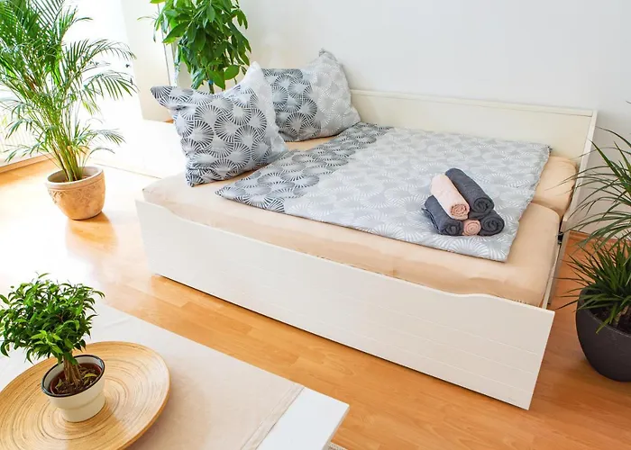 Bis 6 Personen - 5 Min Zur Elbe, Helle Geraeumige 2-raum-whg, Neustadt, Lage Dresden