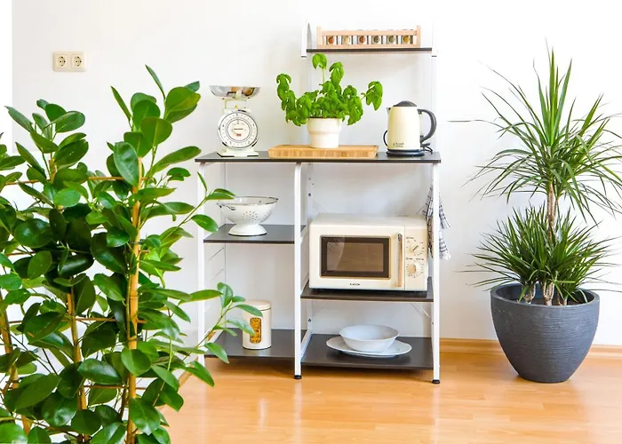 Lägenhet Bis 6 Personen - 5 Min Zur Elbe, Helle Geraeumige 2-raum-whg, Neustadt, Lage Dresden